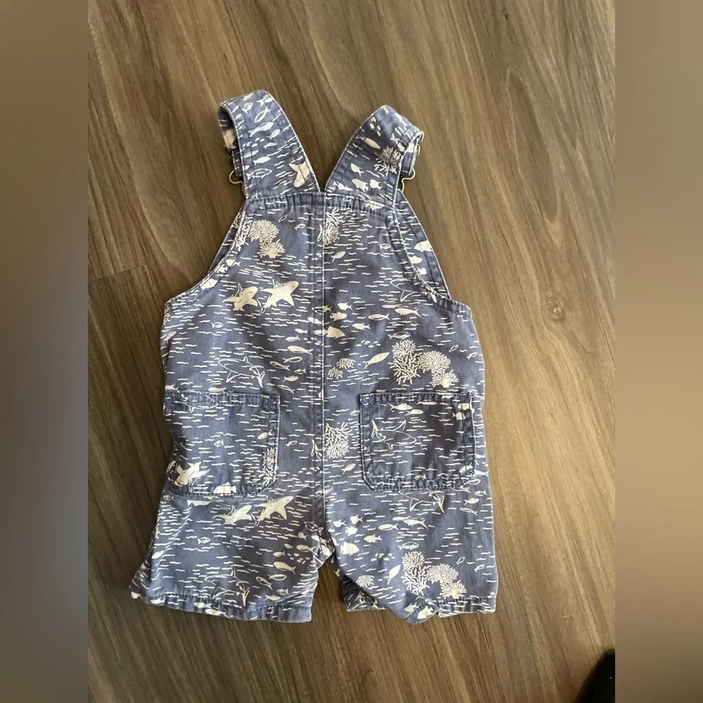 Carters euc size